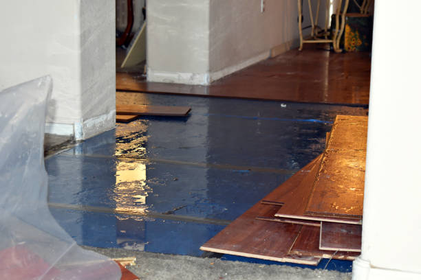 Professional Burst Pipe Cleanup technician working in La Coste, TX